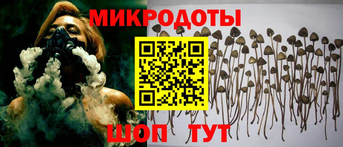 Нефтекамск  Галлюциногенные грибы мухоморы  Псилоцибиновые грибы Psilocybine cubensis  Вход с VPN 