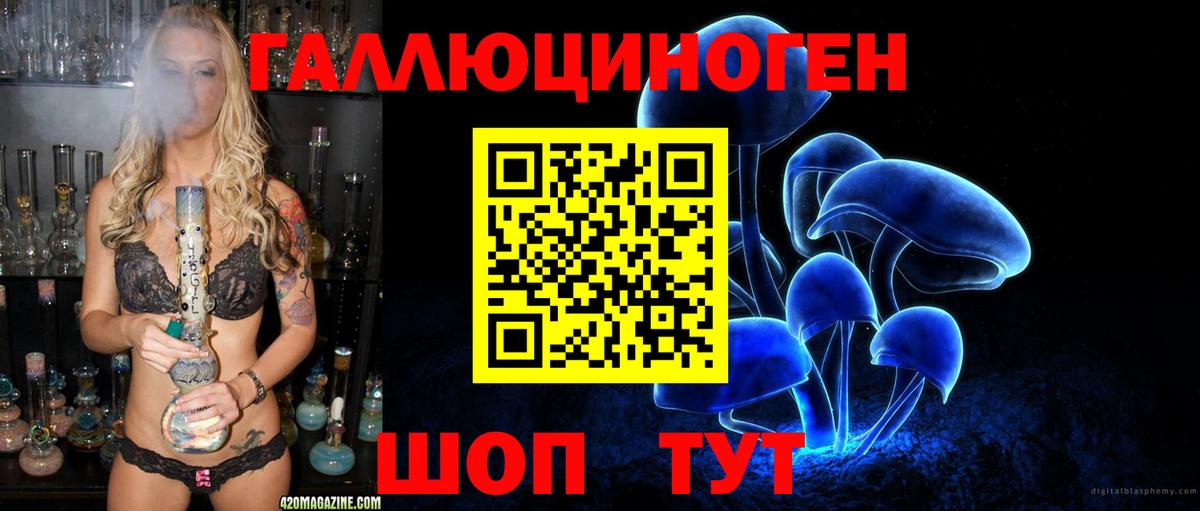 Псилоцибиновые грибы Psilocybe Нефтекамск